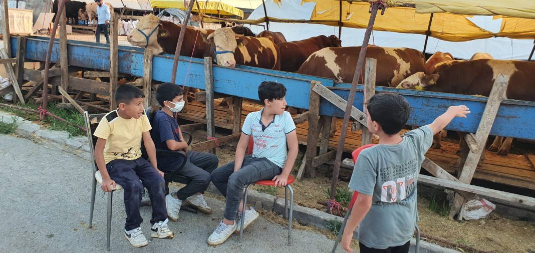 Sincan Yeniçimşit Kurban Pazarı’nda kurbanlık fiyatları 3